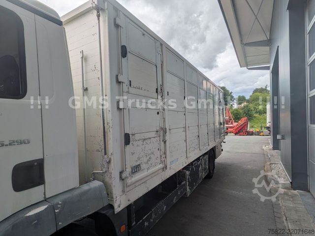 Φορτηγό μεταφοράς ζώων MAN TGM 15.290 / Menke / load 7750kg / E5