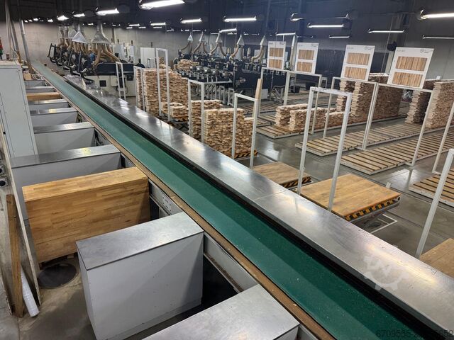 Vierzijdige schaafmachine TECH TOM Linia wstępnego strugania 2021