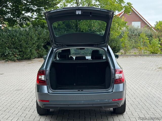 Minibuss SKODA Octavia 1.6 TDI 85 kW Combi DSG Automatik Navi