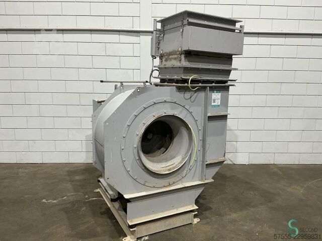 Ventilatorer Kiekens 8 FTEN 560 2019 Kiekens 