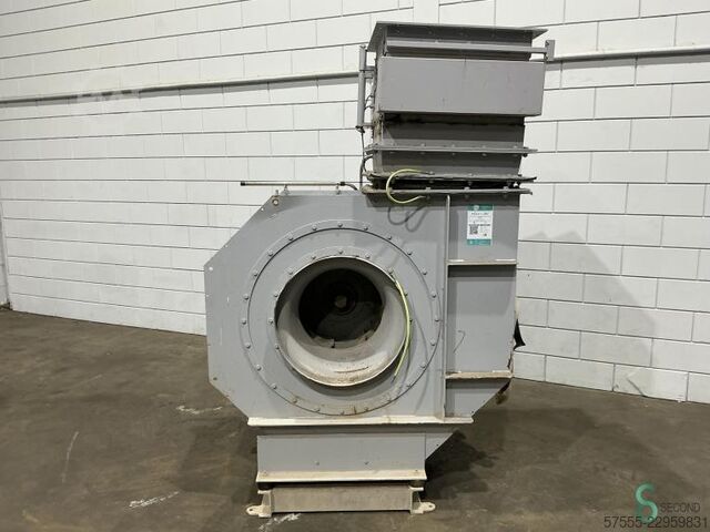 Ventilatorer Kiekens 8 FTEN 560 2019 Kiekens 