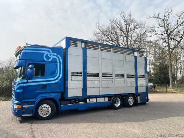 Transport af kvæg Scania R 500 LB 6X2*4 MNA Berdex 1/2/3 Moving roof Big...