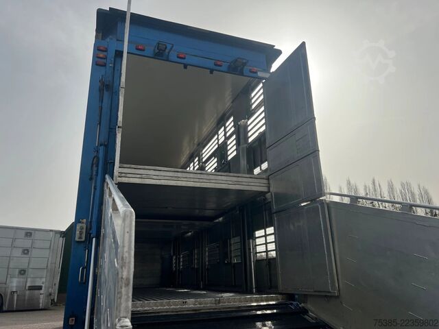Transport af kvæg Scania R 500 LB 6X2*4 MNA Berdex 1/2/3 Moving roof Big...