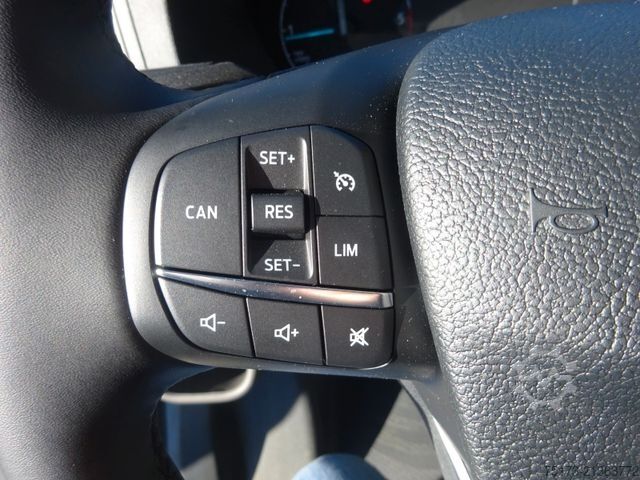 Kastenwagen hoch FORD Transit Kasten Trend 310 L3H2 GRA SHZ DAB