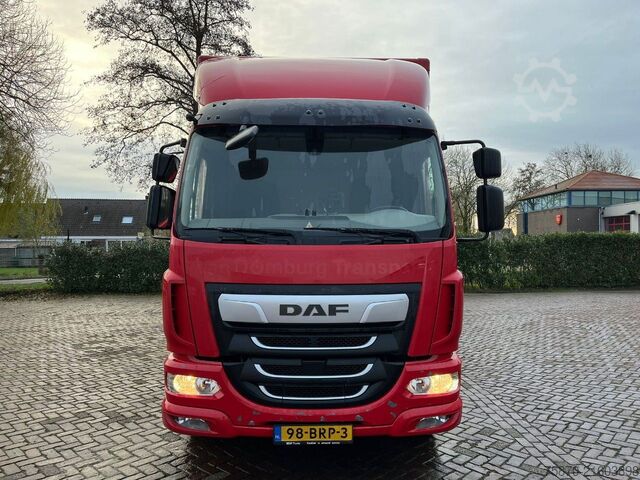 Koffer DAF LF 260 Fa