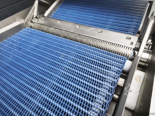 Μηχάνημα εκδοράς Marel, μοντέλο SK 15-320, ΕΤΟΣ Marel SK 15-320