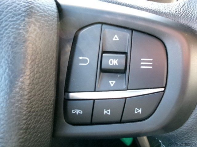 Bestelwagen FORD Ranger DoKa Tremor Stndhz Winterd Schild+Streuer