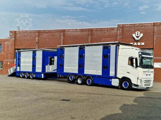Μεταφορά βοοειδών Volvo FH 13.500 Globetrotter 8x2*6 - 3 deck livestock...