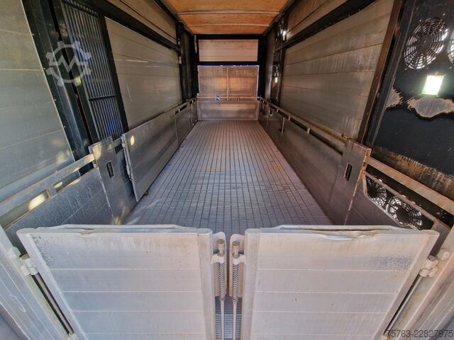 Μεταφορά βοοειδών Volvo FH 13.500 Globetrotter 8x2*6 - 3 deck livestock...