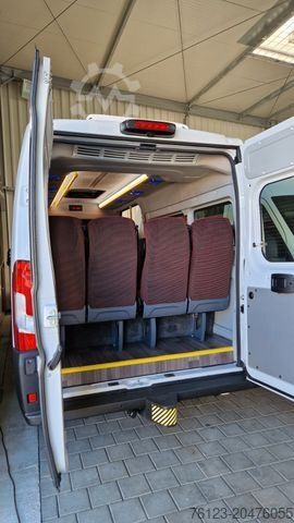 Minibusz PEUGEOT Opel Movano Fiat Ducato Boxer mehrfach vorhanden