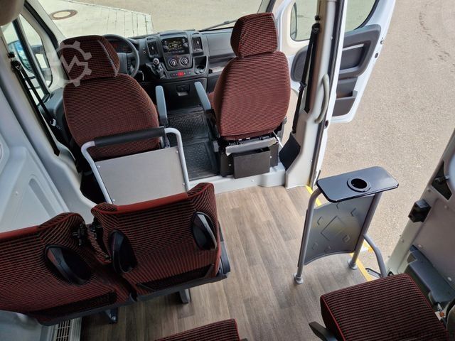 Minibusz PEUGEOT Opel Movano Fiat Ducato Boxer mehrfach vorhanden