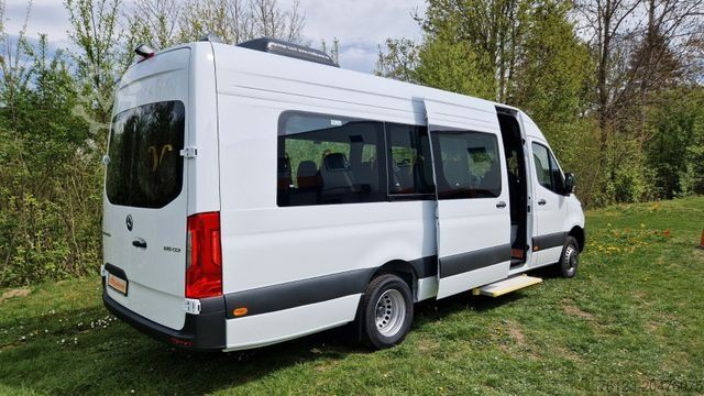 Minibusz MERCEDES-BENZ Sprinter Lord Light 22 Sitzer 3 x Lagerfahrzeug