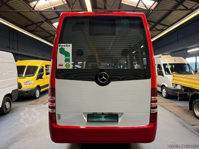 Minibus MERCEDES-BENZ Sprinter 516 City 65 EvoBus Automatik Dachklima
