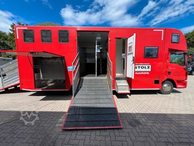 Kreaturvogn MAN 12250 4-5 Pferde Wohung