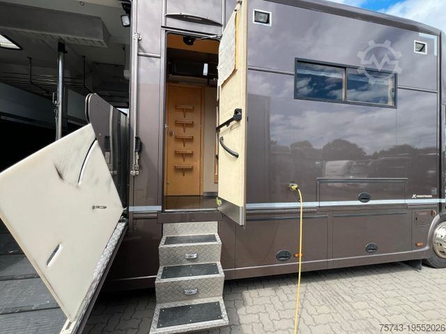 Cattle truck RENAULT Midlum 18300 6 Pferde Pop-Out