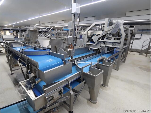 Potato sorting line Odenberg, Tomra 