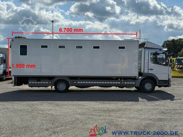 Φορτηγό κουτί (κουρμπαριστό) Mercedes-Benz Atego 1224 Basis Wohnmobil Büro Eventfahrzeug
