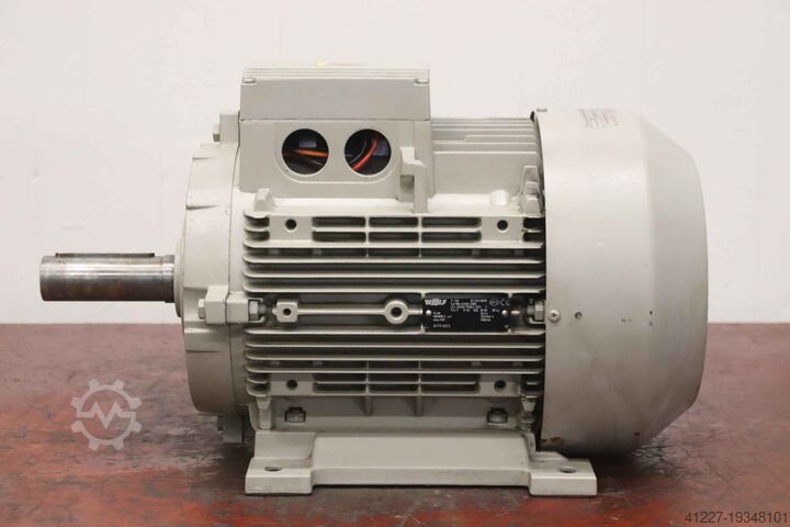 Motor eléctrico 15 kW 1460 rpm Wolf 1LA766-4AA60-ZN00  160L