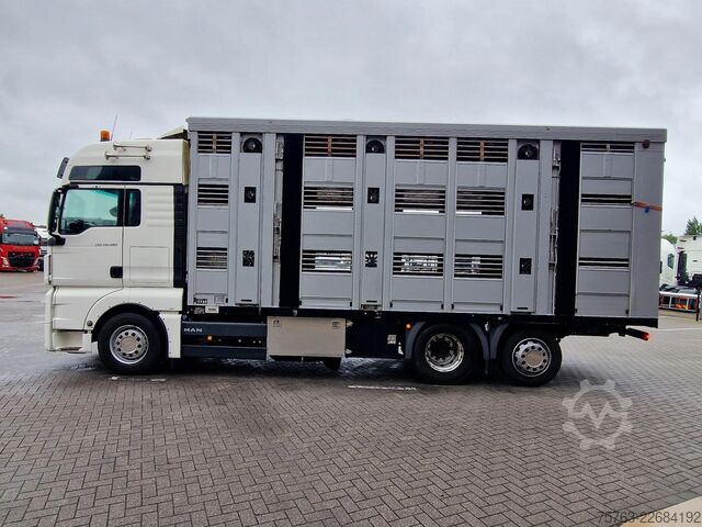 Veetransport MAN TGX 26.480 6x2*4 - Menke 3 deck livestock 50.40...