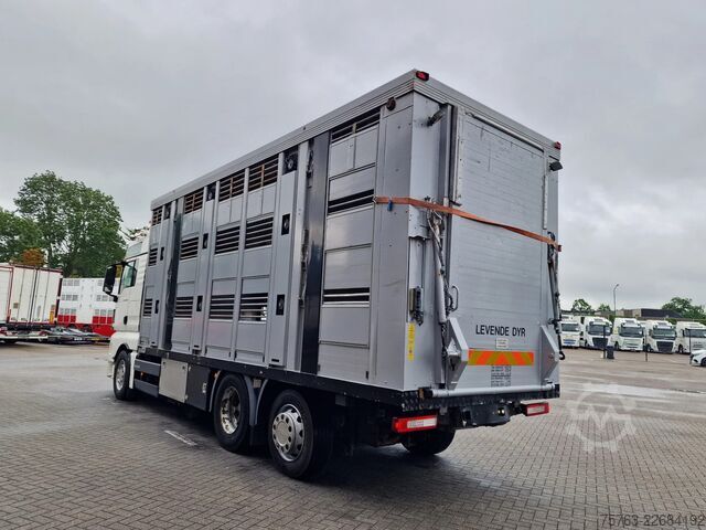 Veetransport MAN TGX 26.480 6x2*4 - Menke 3 deck livestock 50.40...