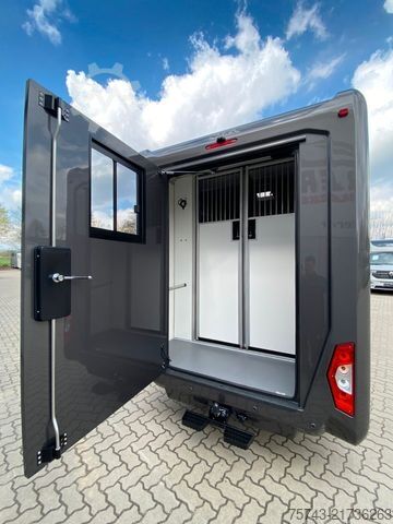 Hayvan taşıyıcı RENAULT Master STX 5 Sitzer Haras ex. Lang Automatik