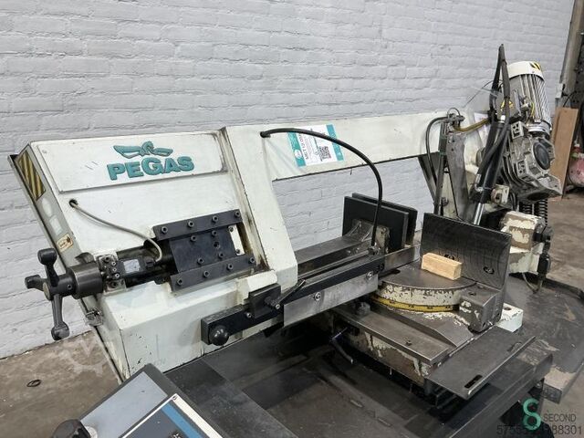  Pegas-Gonda 300x320 SHI-LR