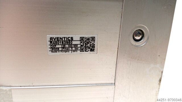 Cilinder met sleuf Aventics R480163950