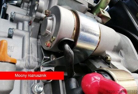 Generator Proton 12000 230