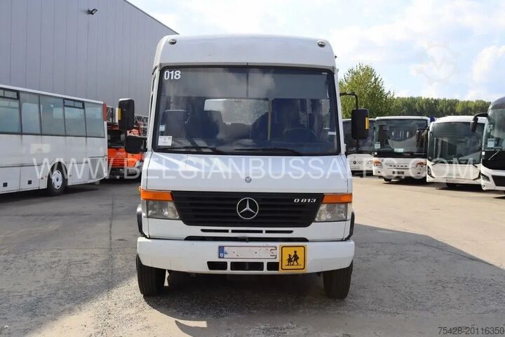 Microbuz Mercedes VARIO