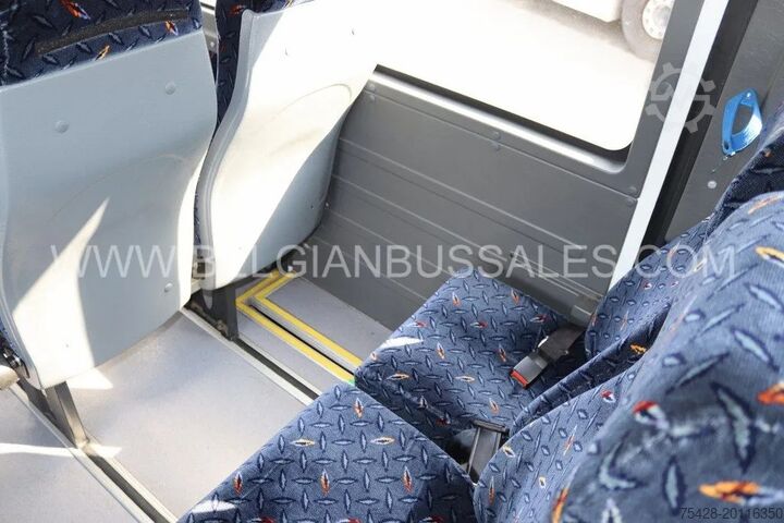 Microbuz Mercedes VARIO