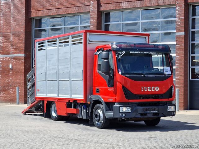 Szarvasmarha-szállítás Iveco Eurocargo 75.190 - Finkl Livestock 1 deck - 9.0...