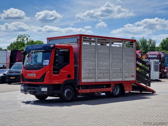 Szarvasmarha-szállítás Iveco Eurocargo 75.190 - Finkl Livestock 1 deck - 9.0...