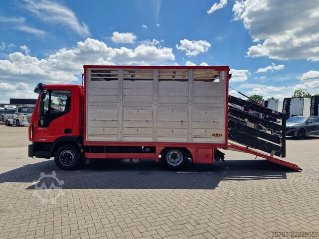 Szarvasmarha-szállítás Iveco Eurocargo 75.190 - Finkl Livestock 1 deck - 9.0...