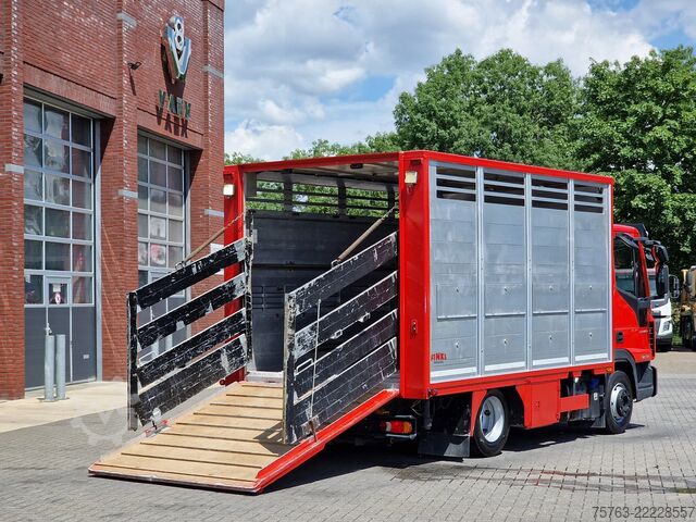 Szarvasmarha-szállítás Iveco Eurocargo 75.190 - Finkl Livestock 1 deck - 9.0...