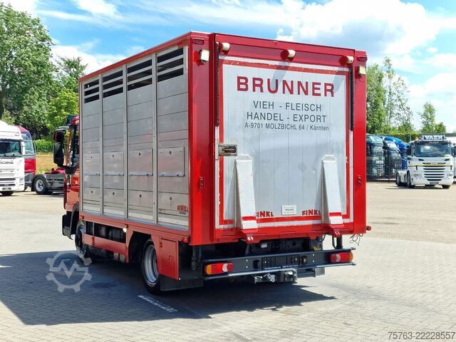 Transport af kvæg Iveco Eurocargo 75.190 - Finkl Livestock 1 deck - 9.0...