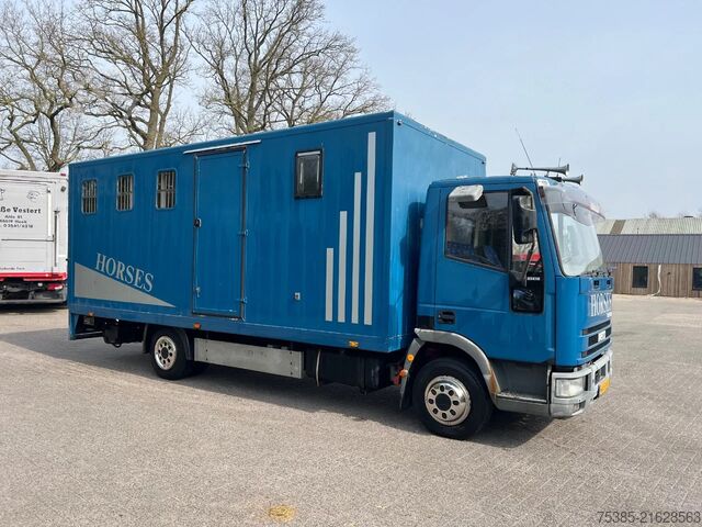 Horse transportation Iveco ML 75 Horsetruck 4 boxes