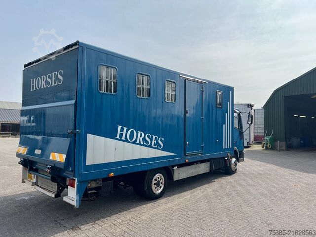 Horse transportation Iveco ML 75 Horsetruck 4 boxes