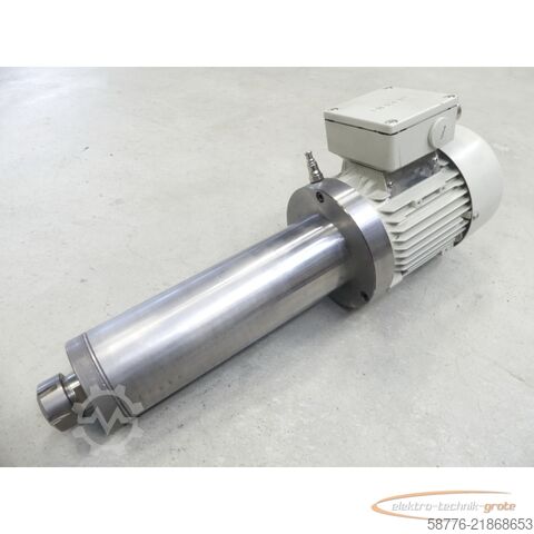 Unidade de controlo GMN TSE 80 x 250 - 6007 Spindel SN: R307942 mit Siemens 1LA5073-4AB95-Z Motor