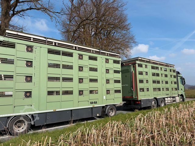 Szarvasmarha-szállító teherautó MERCEDES-BENZ Actros 2545 L 6x2 4.Stock Ka-Ba Komplettzug
