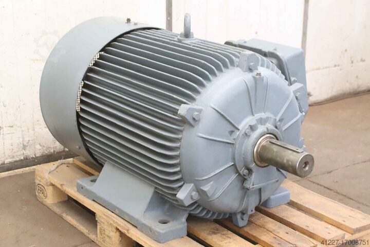 Motor eléctrico 160 kW 1485 rpm Loher AMGA-315MD-04A