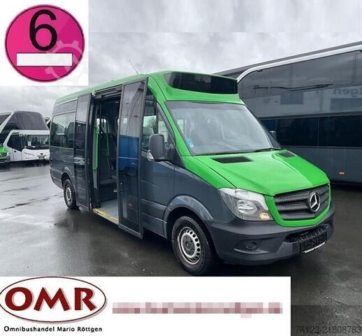 Yolcu taşımacılığı Mercedes-Benz Sprinter 314 Mobility