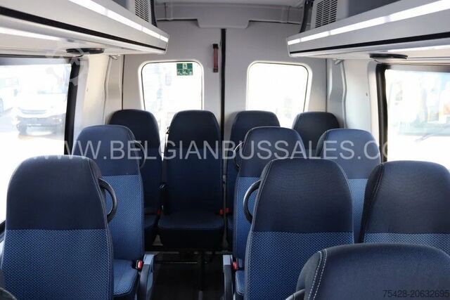 Intercitybus Iveco Daily / 7.6m / Automatic / A65C18