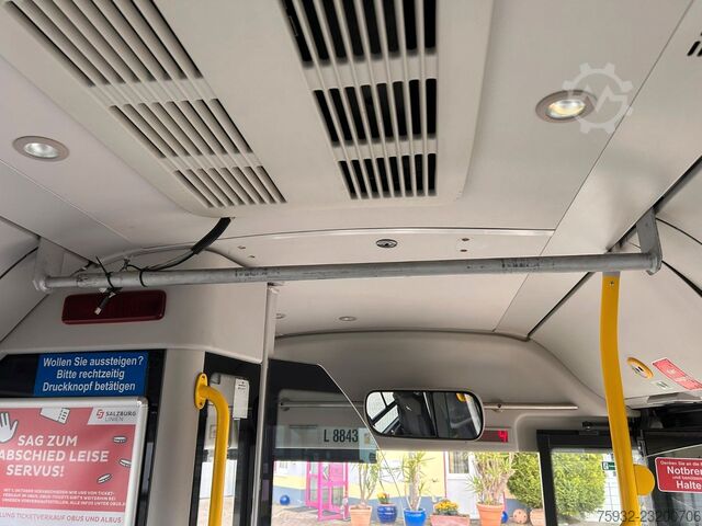 Autobús urbano MAN Lions City A 21 mehrfach verfügbar  TOP