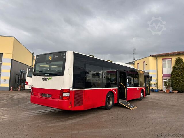Autobús urbano MAN Lions City A 21 mehrfach verfügbar  TOP