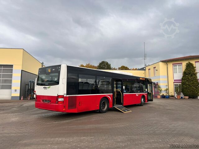 Autobús urbano MAN Lions City A 21 mehrfach verfügbar  TOP