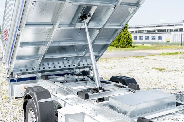 Damperli panelvan RENAULT Master Kipper + Laubgitter