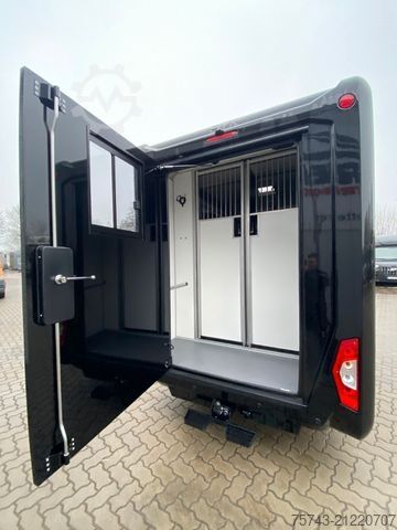 Livestock transporter RENAULT MASTER STX NEW MODELL  2025 5 Sitzer Haras ex. L