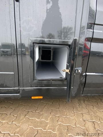 Livestock transporter RENAULT MASTER STX NEW MODELL  2025 5 Sitzer Haras ex. L