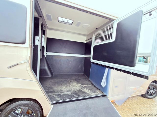 Livestock transporter RENAULT MASTER STX NEW MODELL  2025 5 Sitzer Haras ex. L