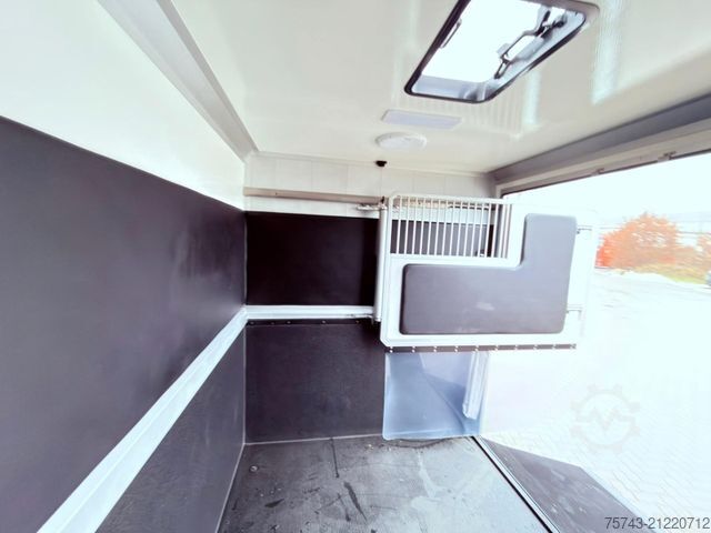 Livestock transporter RENAULT MASTER STX NEW MODELL  2025 5 Sitzer Haras ex. L